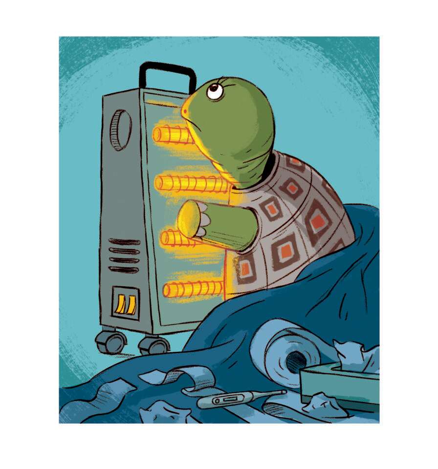 איור: מורן ברק איור: מורן ברק