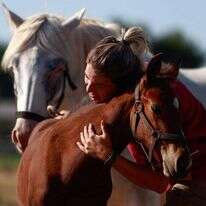 הסוסים המהונדסים. | REUTERS/Matias Baglietto הסוסים המהונדסים. | REUTERS/Matias Baglietto