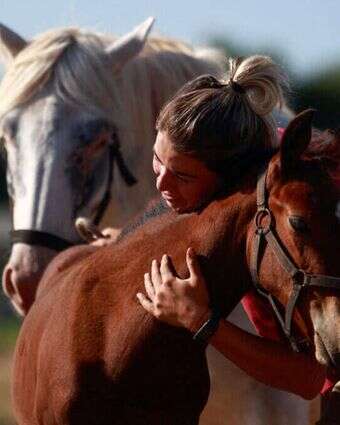 הסוסים המהונדסים. | REUTERS/Matias Baglietto