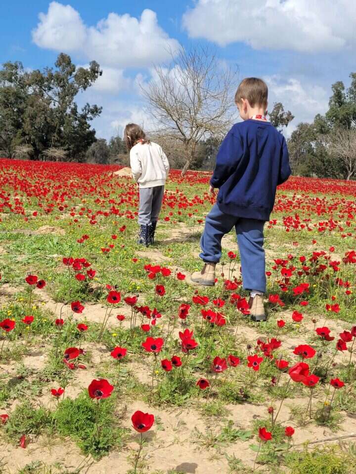 פסטיבל דרום אדום. | עומר הרפז