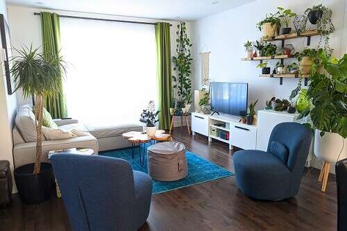 צמחיה ביתית. | באדיבות משתלת ביאליק