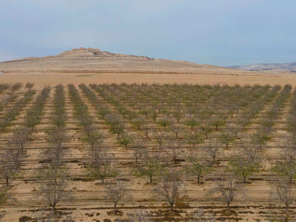 משה לוי. | לירון מולדובן