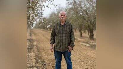 משה לוי. | לירון מולדובן