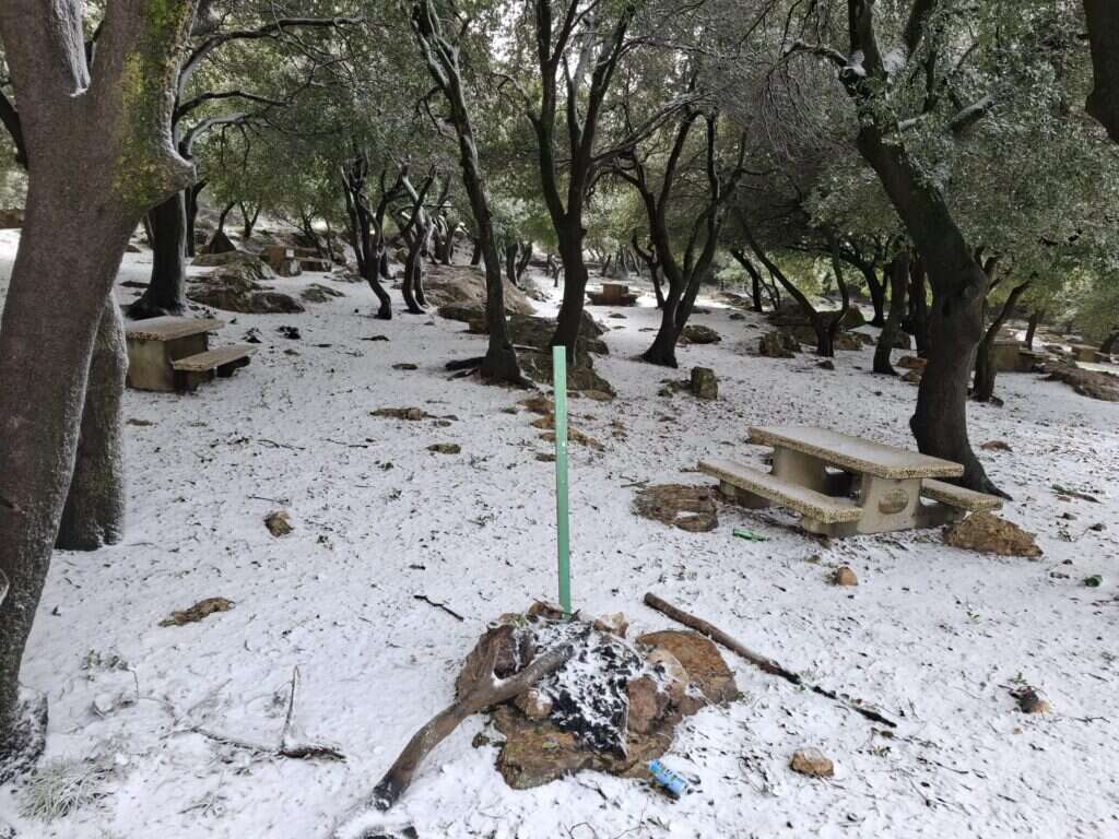 שלג בהר מירון. | שי מסיקה, רשות הטבע והגנים