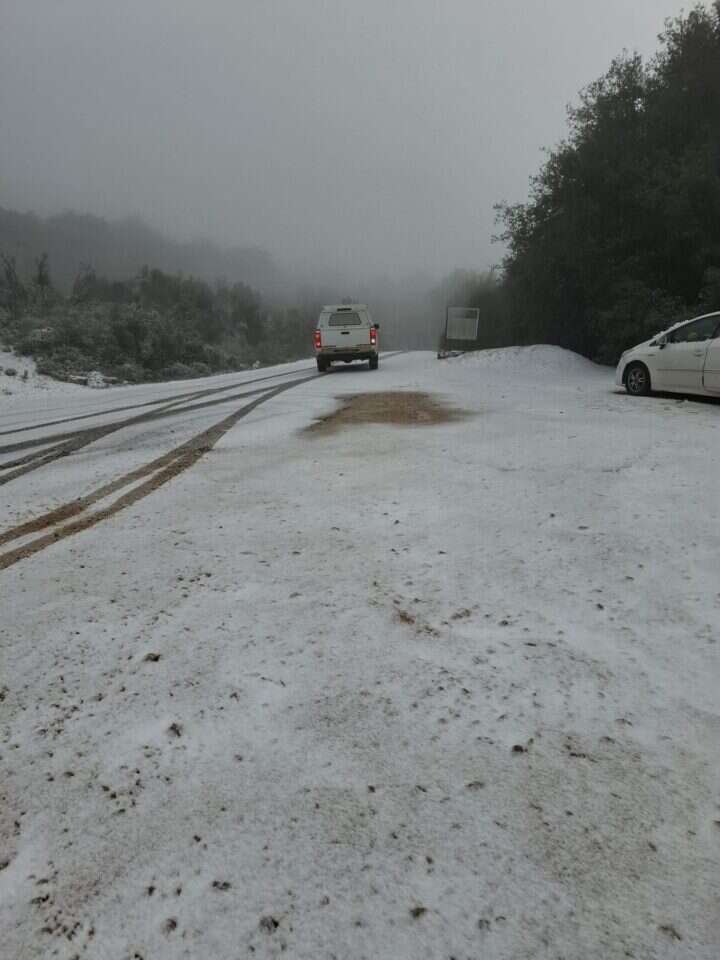 שלג בהר מירון. | שי מסיקה, רשות הטבע והגנים