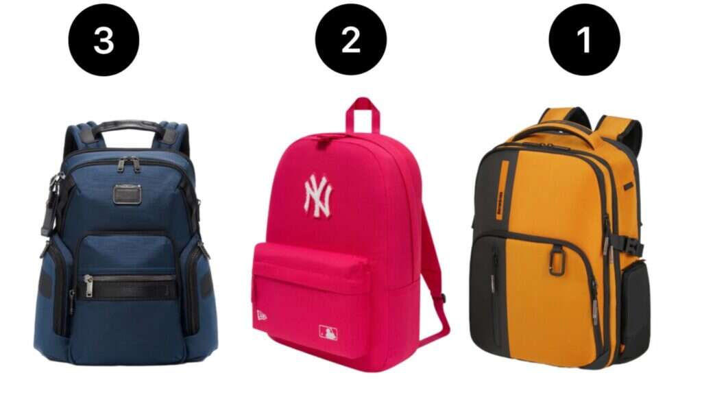 תיקי גב   1) תיק של סמסונייט. | יח"צ חול  2) תיק של new era.