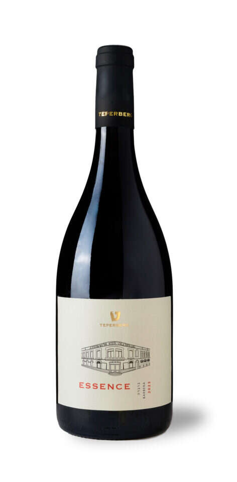 אסנס ברברה 2023. | יח"צ