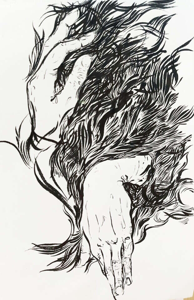 להלי פרלינג, ללא כותרת, דיו על נייר