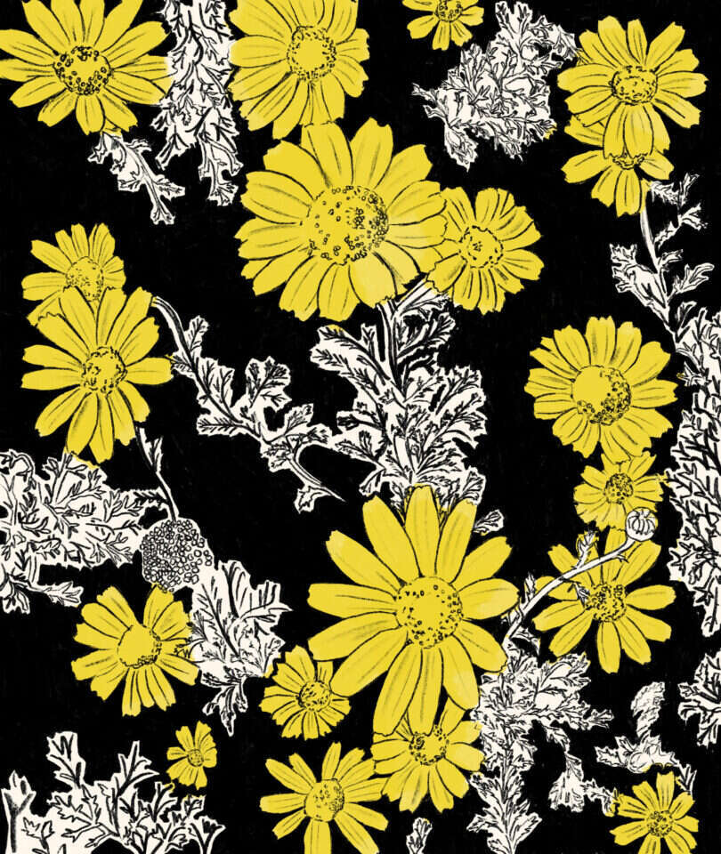 איור: שרון ארדיטי איור: שרון ארדיטי