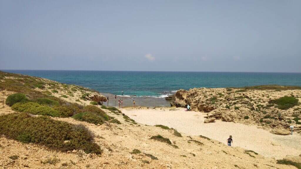 צ'ק אין אאוט צ'ק אין אאוט