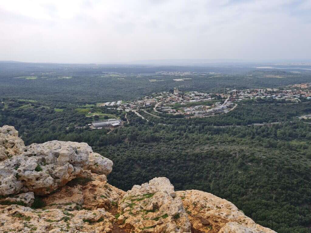 צ'ק אין אאוט צ'ק אין אאוט