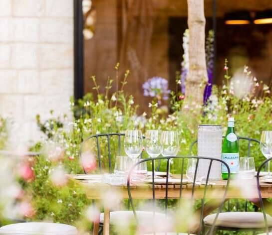 יקב כרמי בת שלמה. | גל גלעד יקב כרמי בת שלמה. | גל גלעד