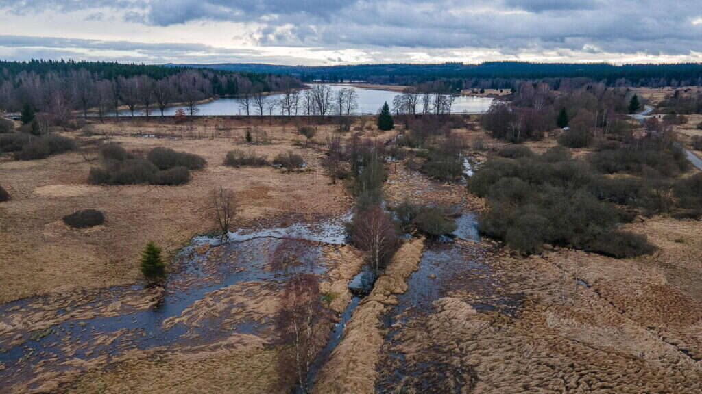 שמורת הטבע הצ'כית. | AFP
