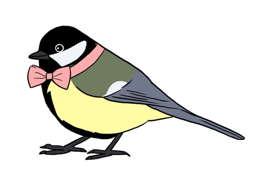 איור מתוך "ספר הציפורים" מאת נעה כ"ץ