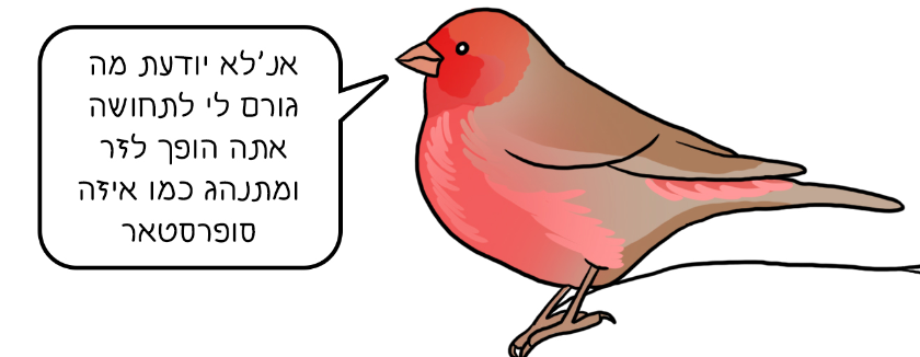 איור מתוך "ספר הציפורים" מאת נעה כ"ץ