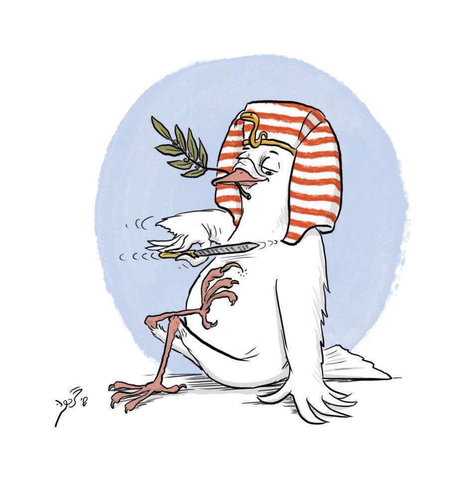 איור: שי צ'רקה