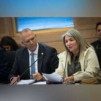 דרורית שטיינמץ בדיון בוועדה בכנסת, לצידה מנכ"ל משרד רה"מ יוסי שלי. | יונתן זינדל, פלאש 90