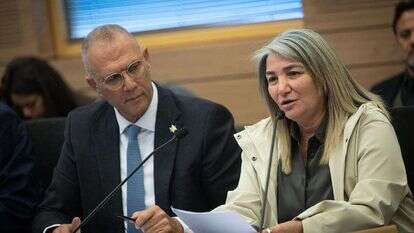 דרורית שטיינמץ בדיון בוועדה בכנסת, לצידה מנכ"ל משרד רה"מ יוסי שלי. | יונתן זינדל, פלאש 90