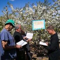 ברכת האילנות בקיבוץ מגדל עוז. | גרשון אלינסון - פלאש 90