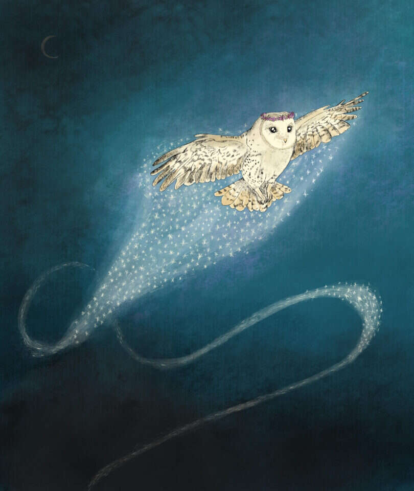 איור: שרון ארדיטי