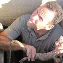 אוהד יהלומי. | רשות הטבע והגנים