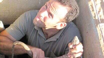 אוהד יהלומי. | רשות הטבע והגנים