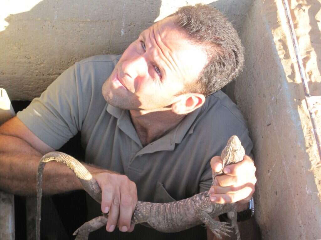 אוהד יהלומי. | רשות הטבע והגנים