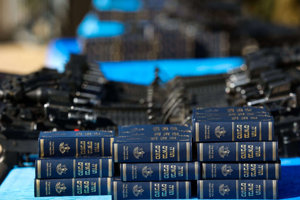 קרדיט: פלאש 90