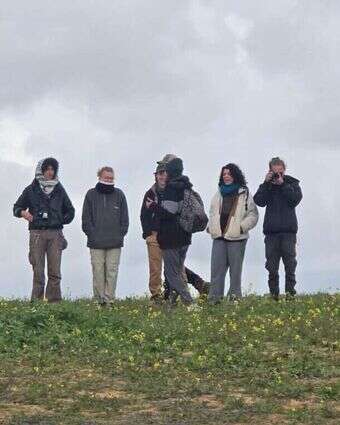 אנרכיסטים ביו"ש, אילוסטרציה | דוברות הר חברון