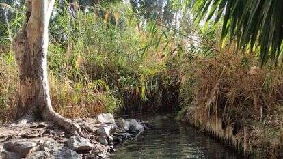 עין הדיג. | צק אין אאוט