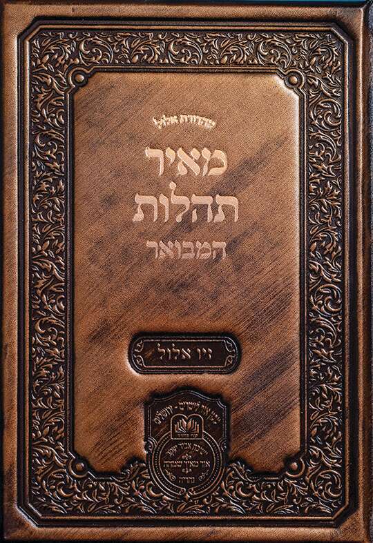 אריק סולטן אריק סולטן