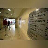 לשכת התעסוקה. אילוסטרציה. | יוסי זמיר / פלאש 90