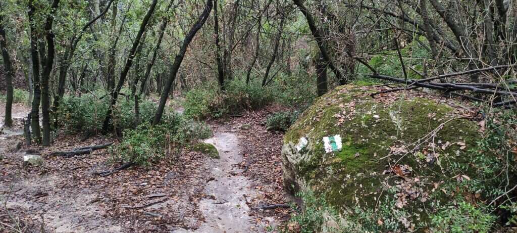 מסלול הליכה יער חניתה. | צ'ק אין אאוט מסלול הליכה יער חניתה. | צ'ק אין אאוט