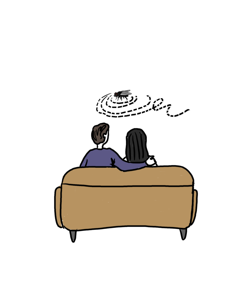 דייט | בת-אל בן חורין דייט | בת-אל בן חורין