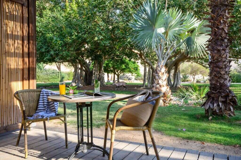 מלון עין גדי. | איה בן עזרי