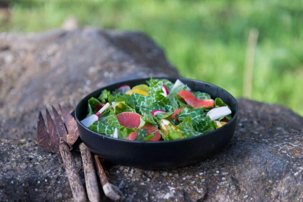 סלט גדילן. | אפרת מוסקוביץ