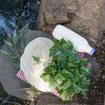 אפרת מוסקוביץ