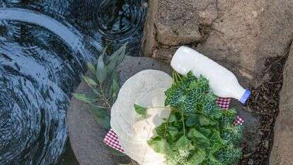 אפרת מוסקוביץ