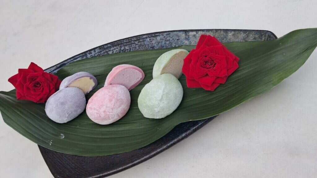 מוצי של אושן גריל. | אושן גריל