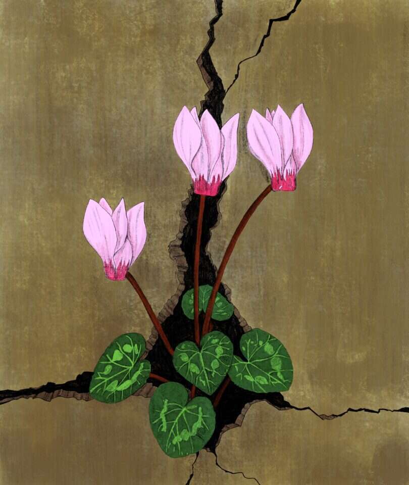 איור: שרון ארדיטי