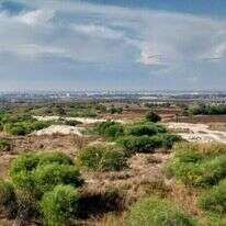 תצפית על נתב"ג, מטוס נוחת. | איציק בן דב, החברה להגנת הטבע