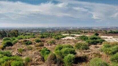תצפית על נתב"ג, מטוס נוחת. | איציק בן דב, החברה להגנת הטבע