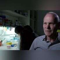 פרופ' ינון בן אריה. | מסך מתוך יוטיוב