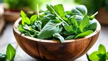 תרד. | שאטרסטוק