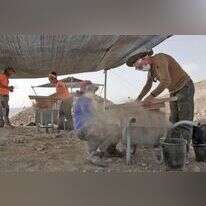 אמיל אלג'ם רשות העתיקות