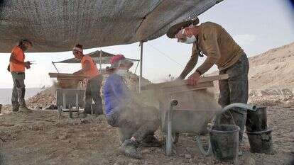 אמיל אלג'ם רשות העתיקות
