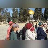 עליית יהודים להר הבית. | : ארנון סגל