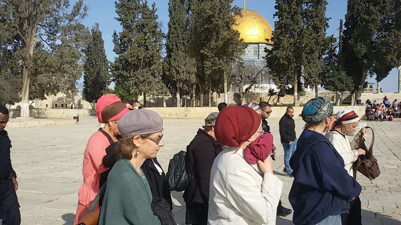 עליית יהודים להר הבית. | : ארנון סגל