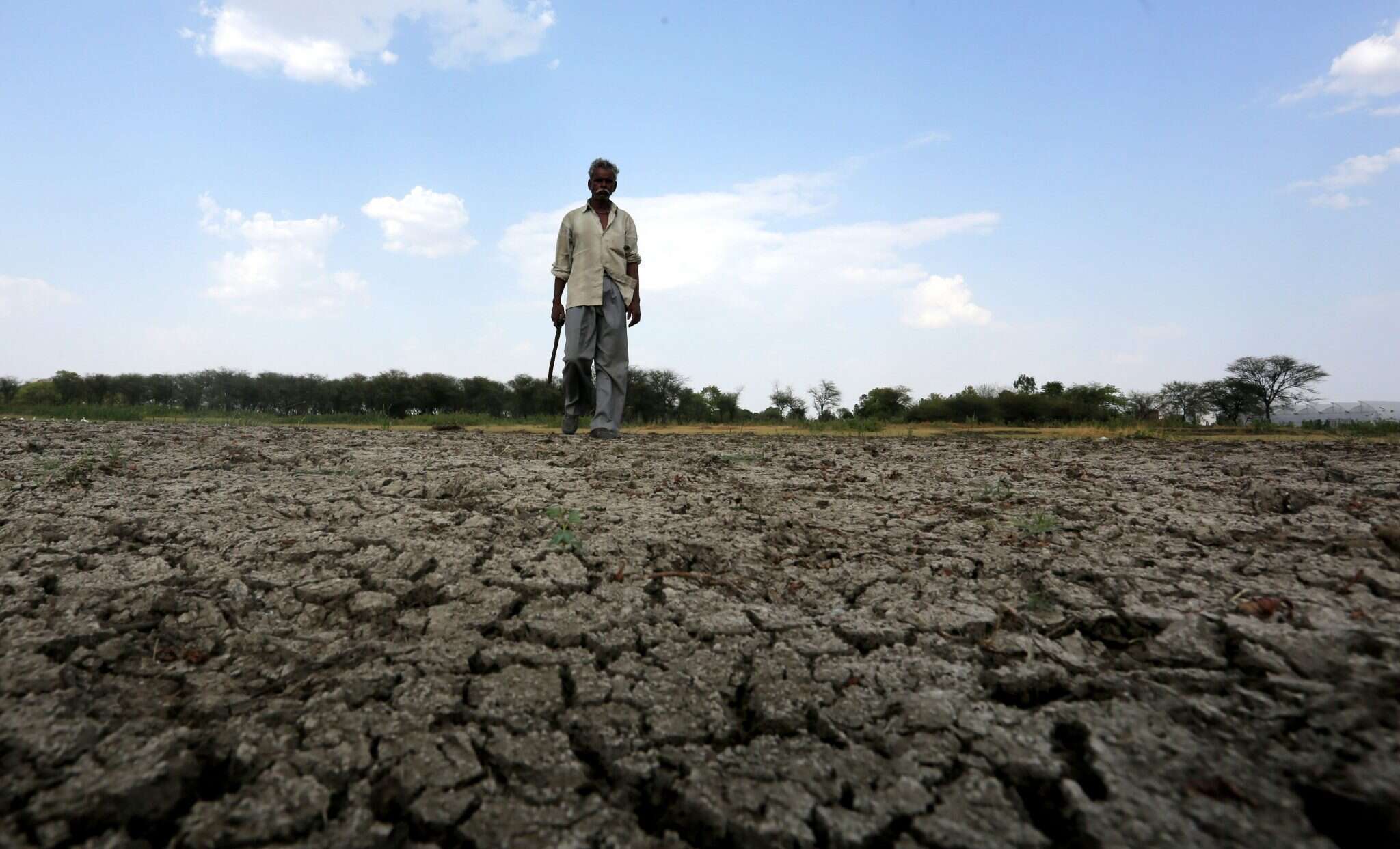 שדה יבש מבצורת בהודו, ארכיון. | EPA