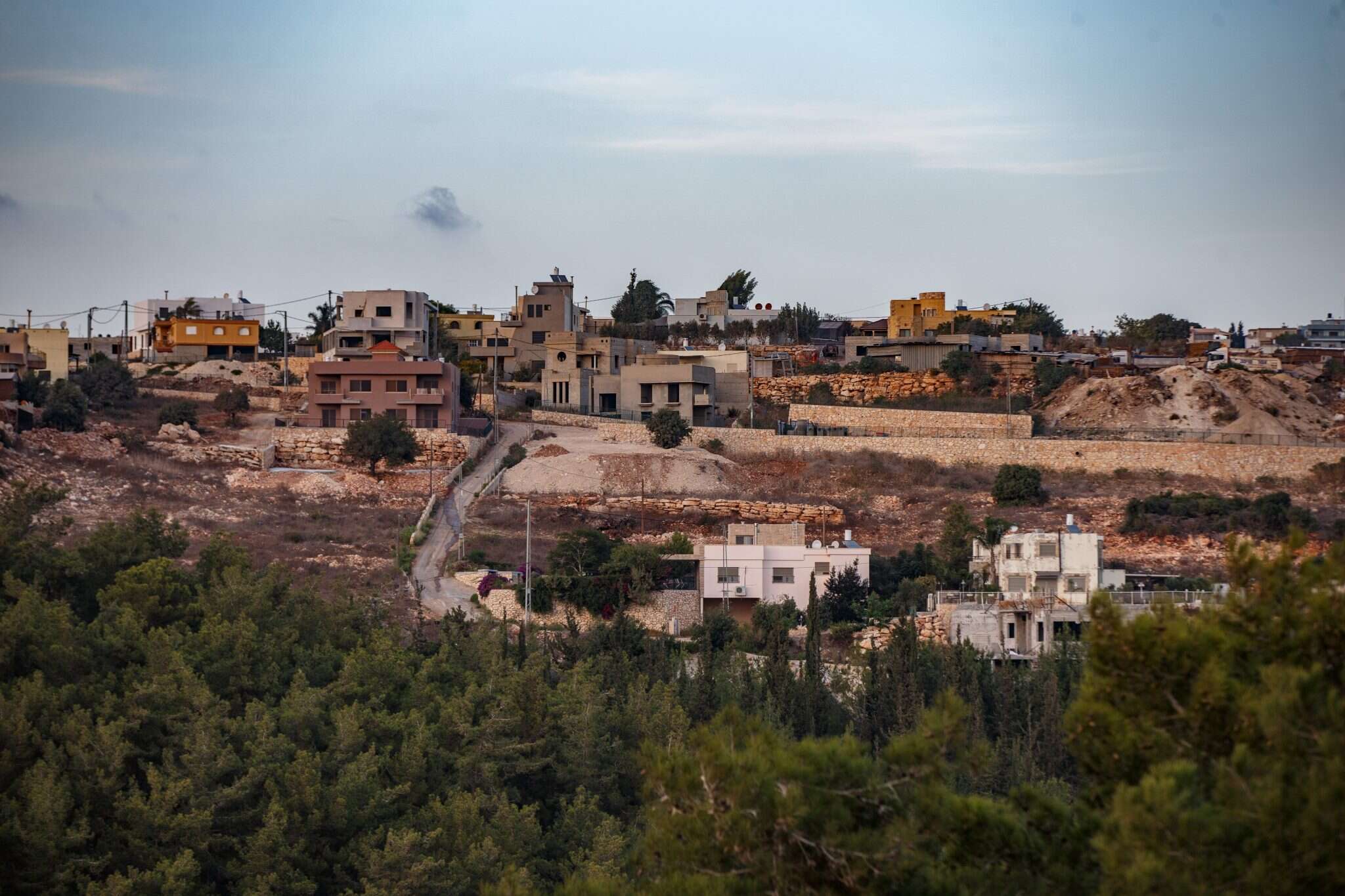 דליית אל כרמל. | אנצ'ו ג'וש ג'יני דליית אל כרמל. | אנצ'ו ג'וש ג'יני